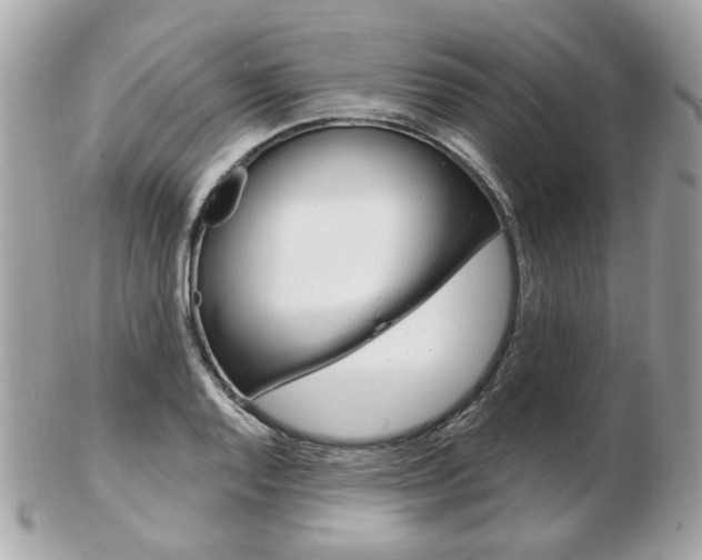 X0000103281128200808291040
