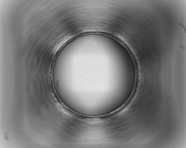 X0000103281129200808291040