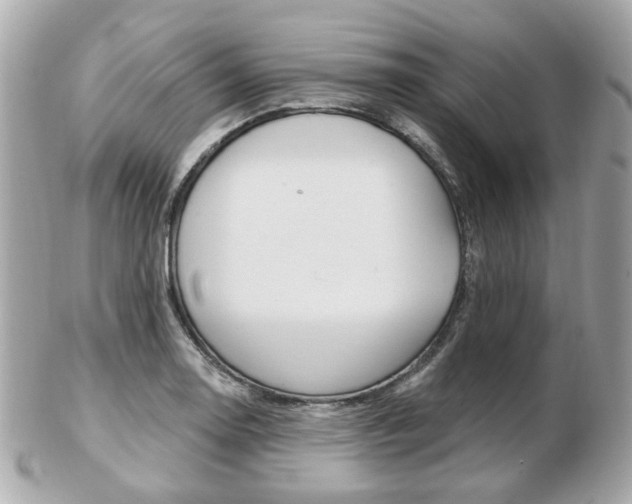 X0000103281130200808291040