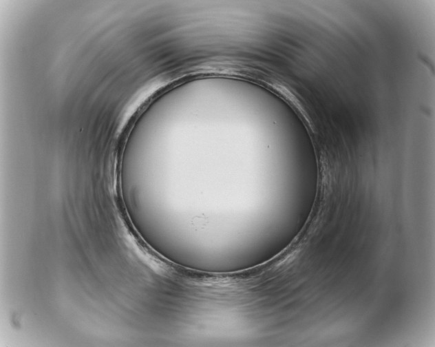 X0000103281131200808291040