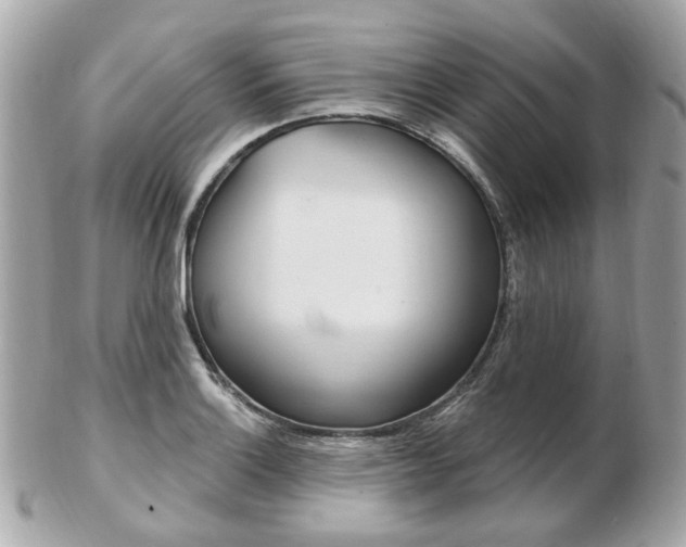 X0000103281132200808291040