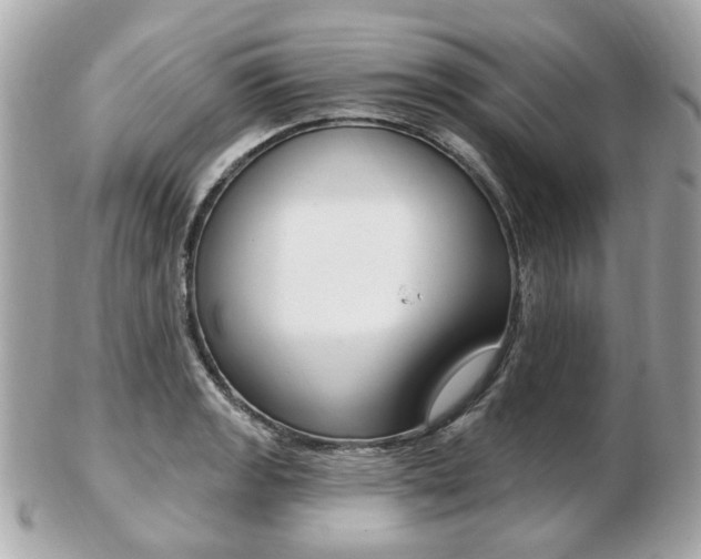 X0000103281133200808291040