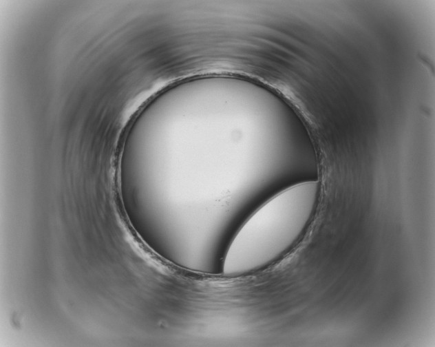 X0000103281134200808291040