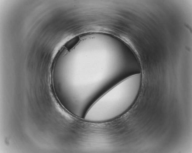 X0000103281136200808291040