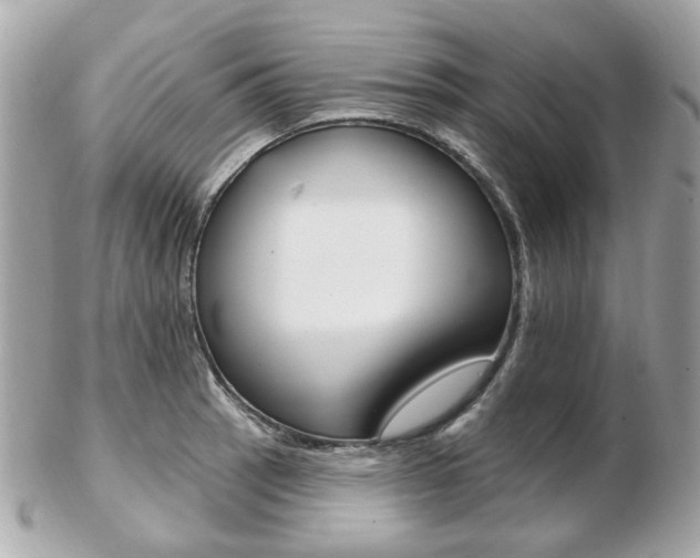 X0000103281137200808291040