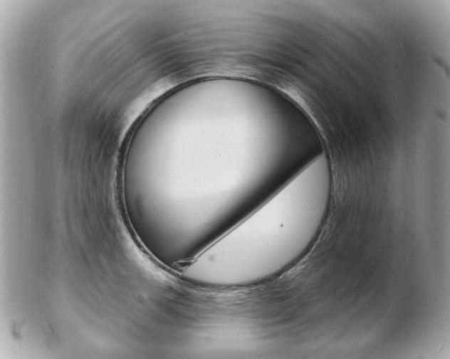 X0000103281139200808291040