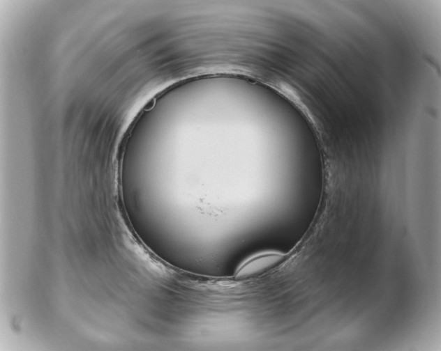 X0000103281140200808291040