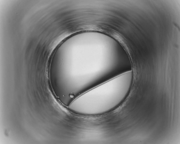 X0000103281141200808291040