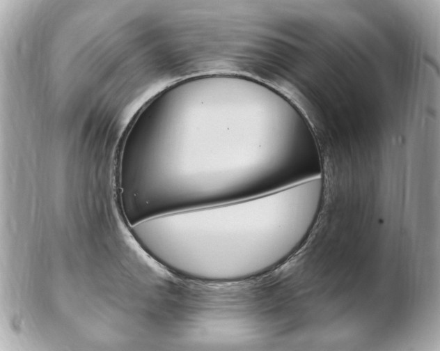 X0000103281142200808291040
