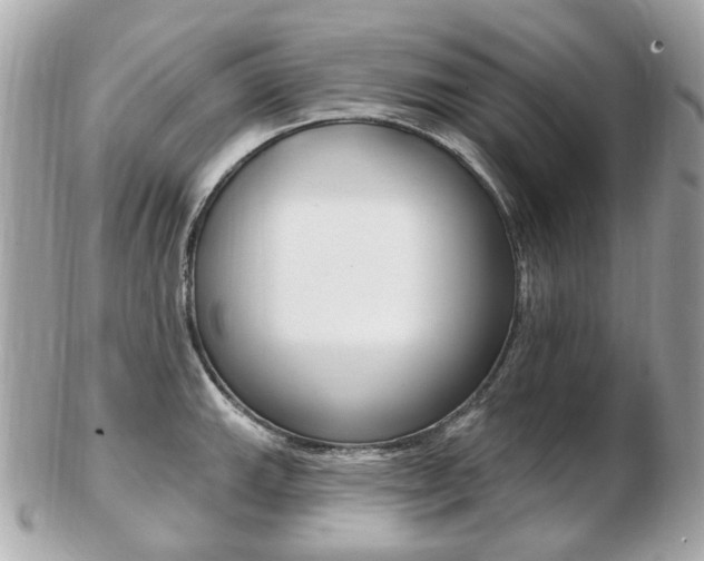 X0000103281143200808291040