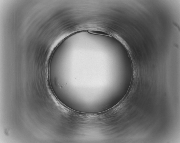 X0000103281144200808291040