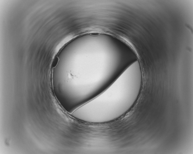 X0000103281146200808291040