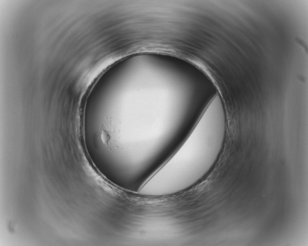 X0000103281147200808291040