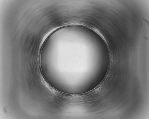 X0000103281148200808291040