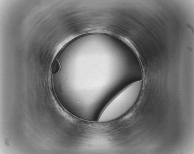 X0000103281149200808291040