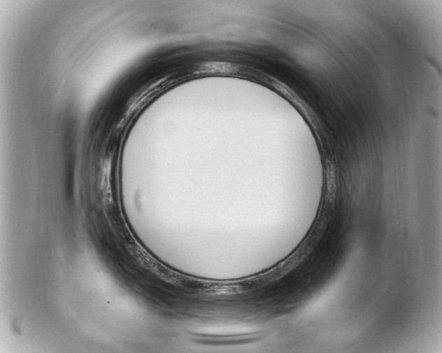 X0000103281150200808291040