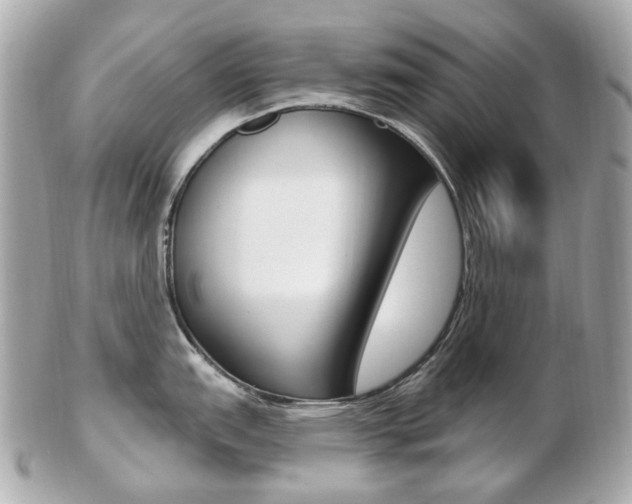 X0000103281151200808291040