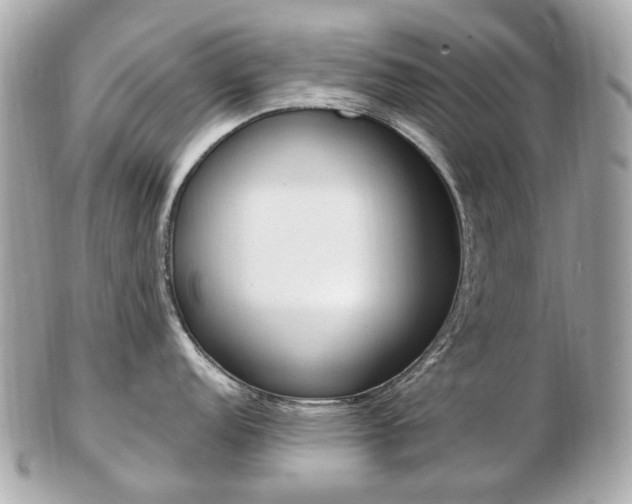 X0000103281152200808291040