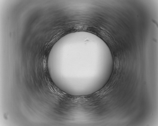 X0000103281154200808291039