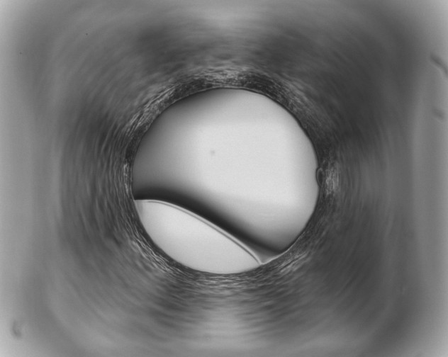 X0000103281156200808291039
