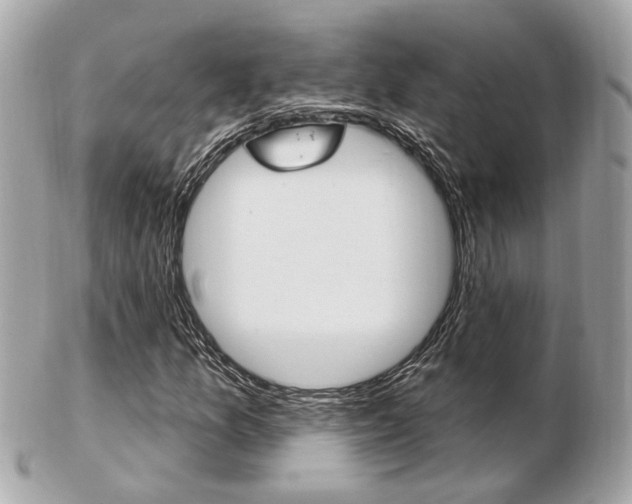 X0000103281157200808291039