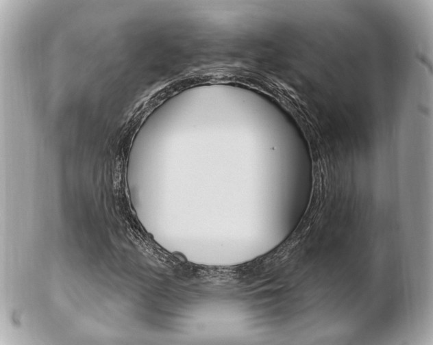 X0000103281158200808291039