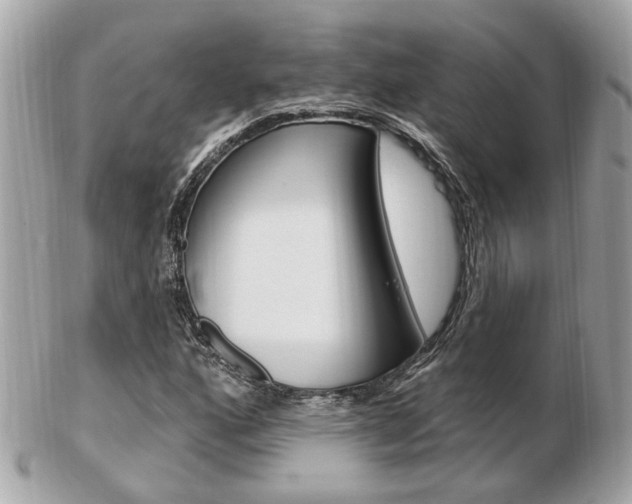 X0000103281160200808291039