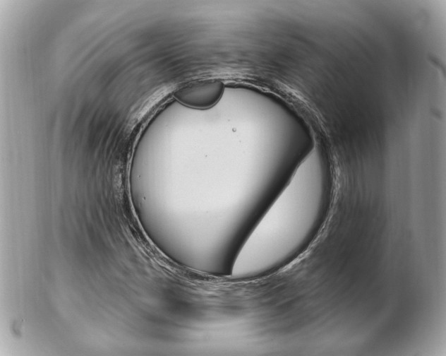 X0000103281162200808291039
