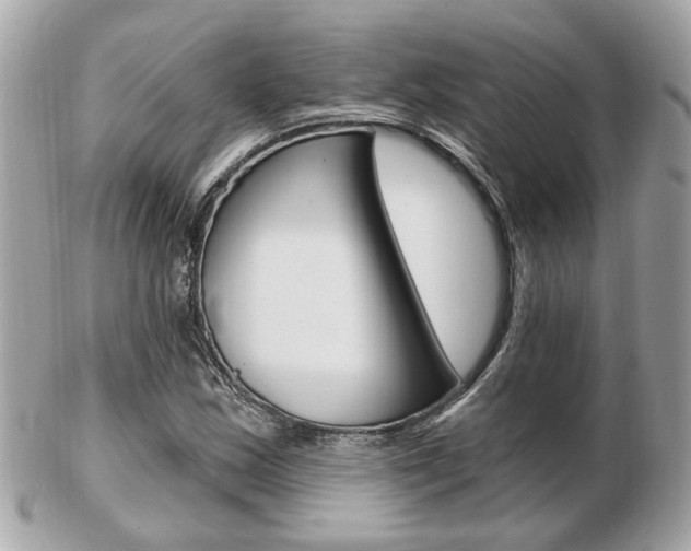 X0000103281163200808291039