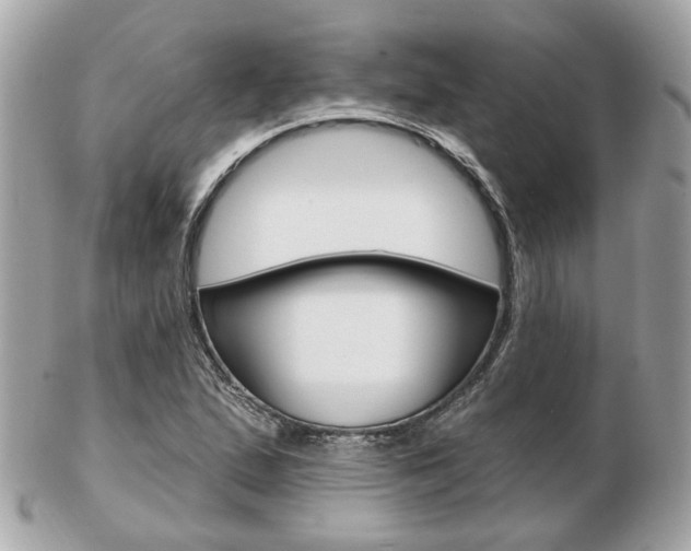 X0000103281167200808291039