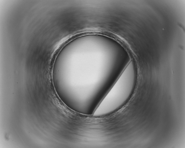 X0000103281168200808291039