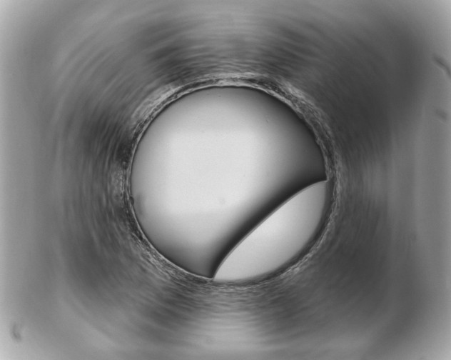 X0000103281169200808291039