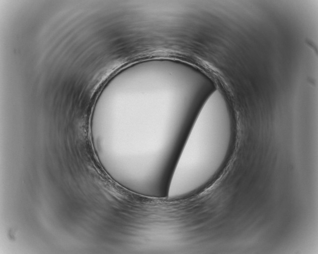 X0000103281170200808291039