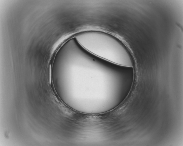 X0000103281175200808291039