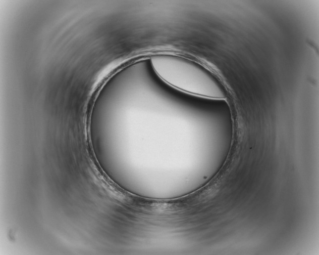X0000103281176200808291039