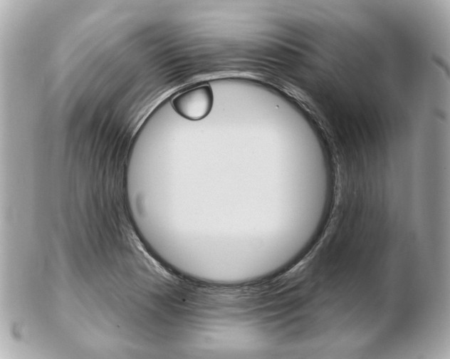 X0000103281177200808291039