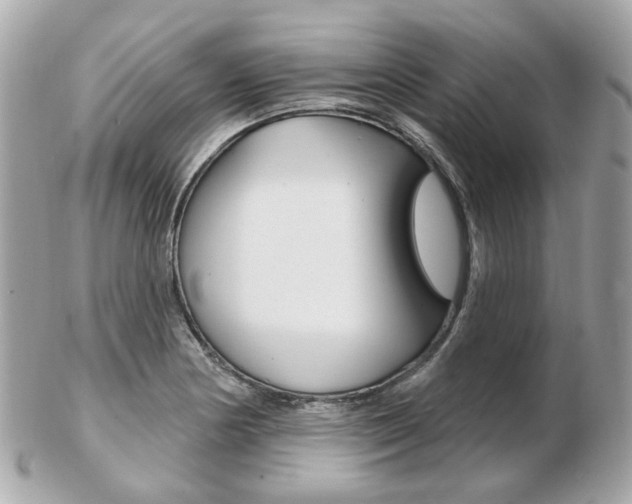 X0000103281178200808291039