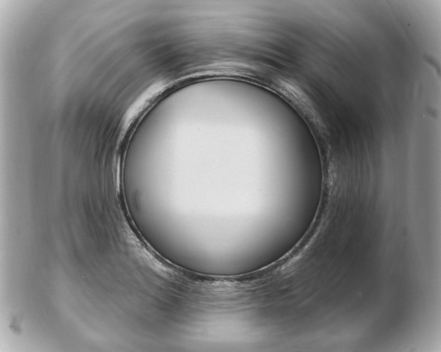 X0000103281180200808291039