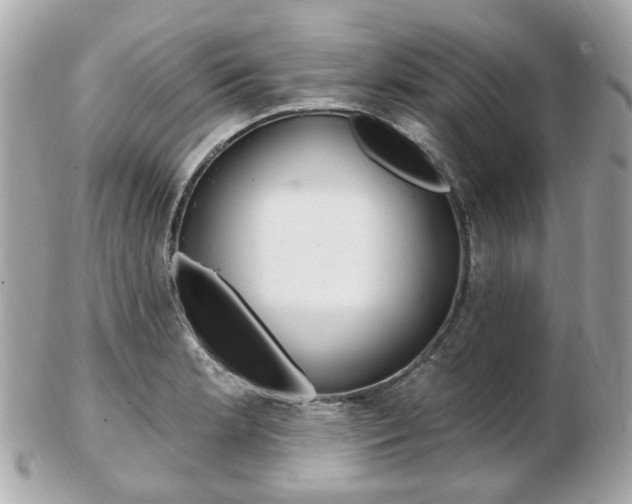 X0000103281181200808291039