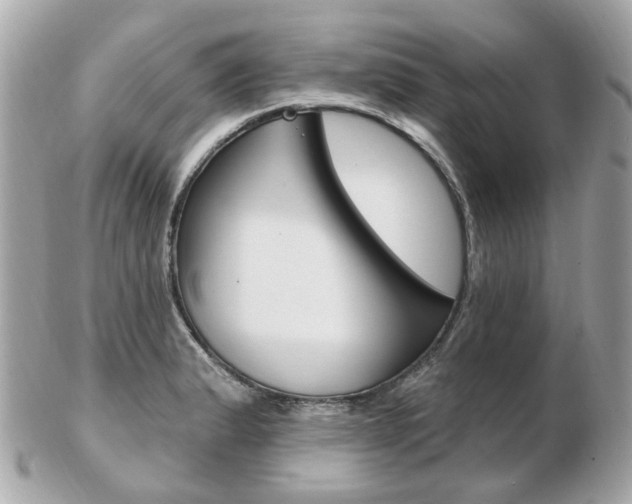 X0000103281183200808291039