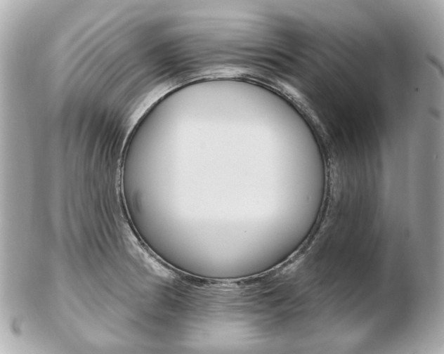 X0000103281186200808291039