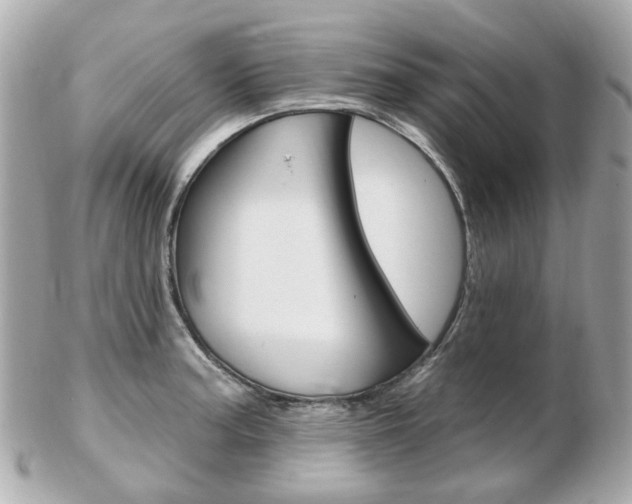 X0000103281187200808291039