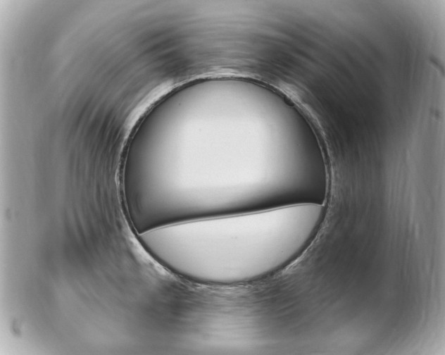 X0000103281189200808291039