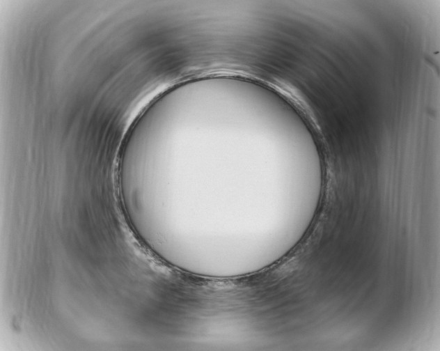 X0000103281190200808291039