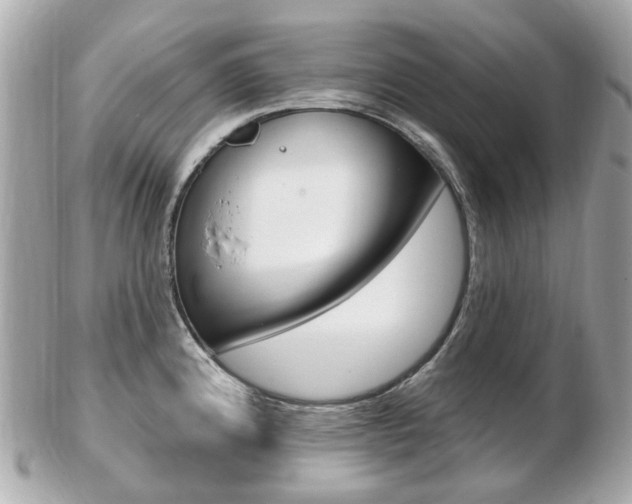 X0000103281192200808291039