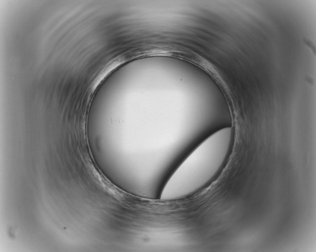 X0000103281194200808291039