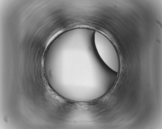 X0000103281198200808291038