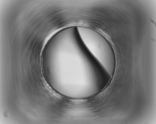 X0000103281200200808291038