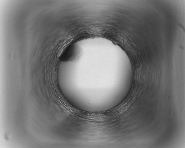 X0000103281201200808291038