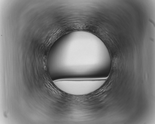 X0000103281202200808291038